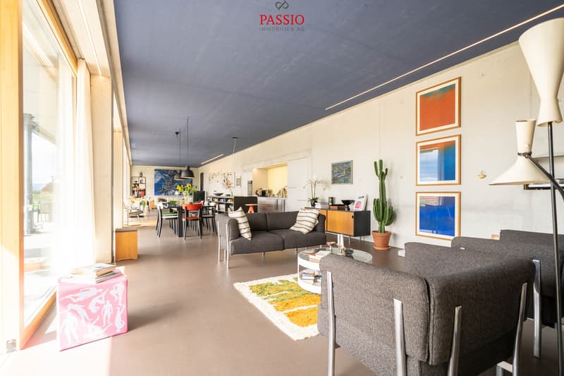 Exklusive Loft-Wohnung mit grosser Terrasse und Weitblick (4)