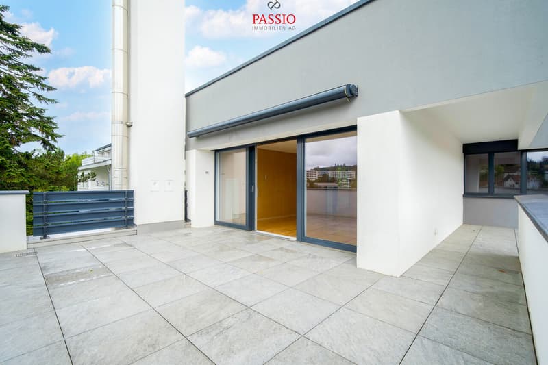 Appartement terrasse spacieux de 5,5 pièces avec une vue imprenable (2)