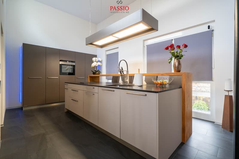 Modern 5-room row house with roof terrace and panoramic view (11)