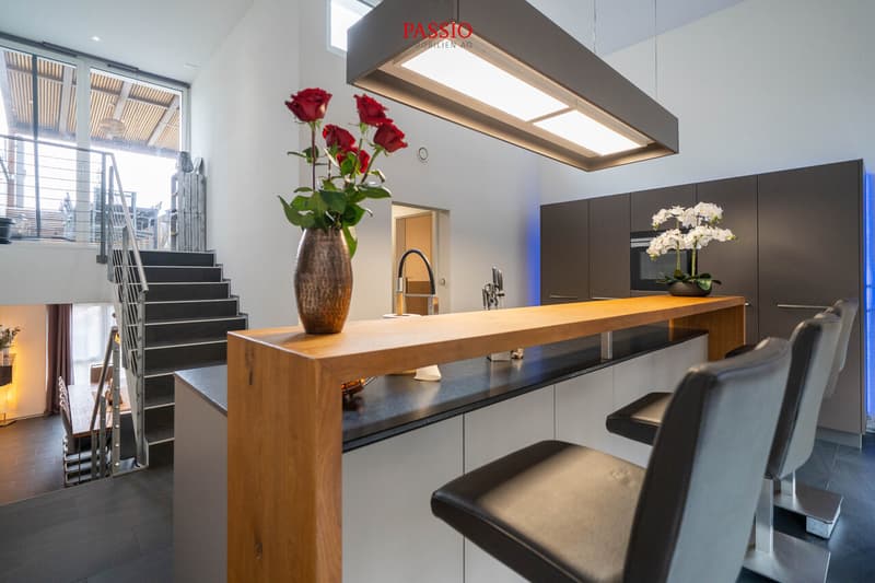 Modern 5-room row house with roof terrace and panoramic view (12)