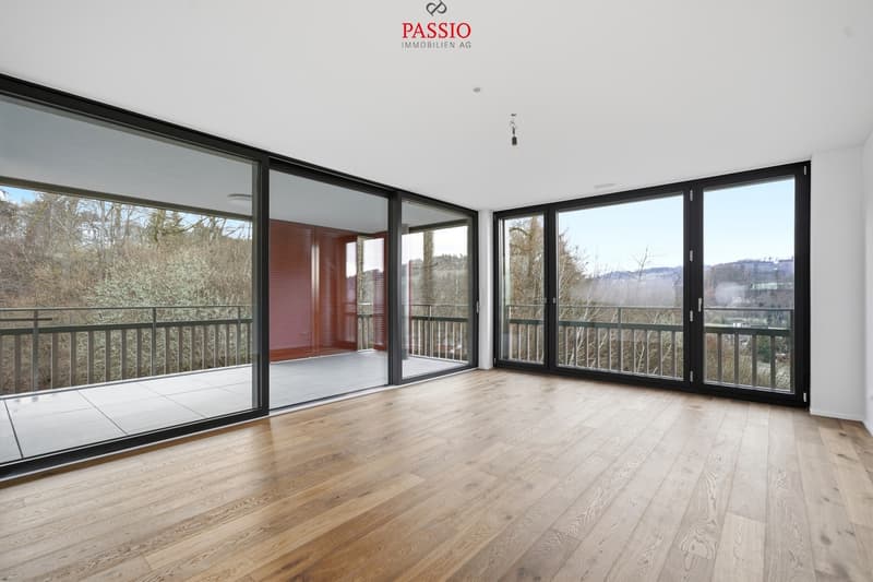 Appartement neuf de 5,5 pièces de haute qualité avec finitions raffinées (2)