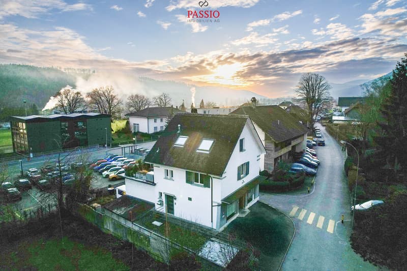 Habiter et travailler combinés - maison de 5,5 pièces avec espace commercial (2)