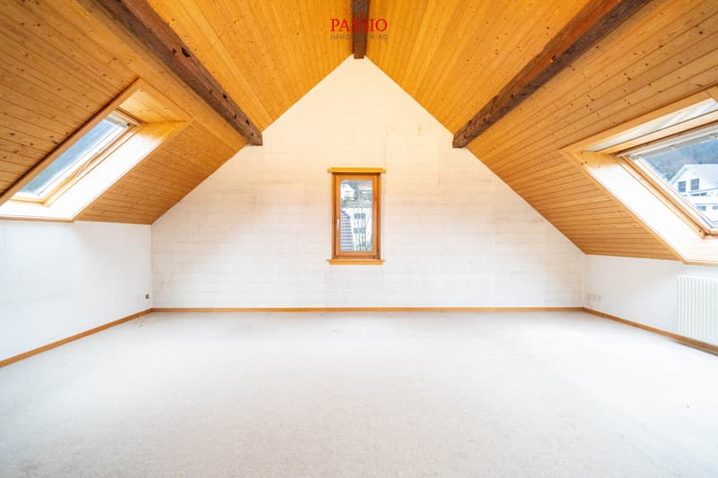 Habiter et travailler combinés - maison de 5,5 pièces avec espace commercial (4)