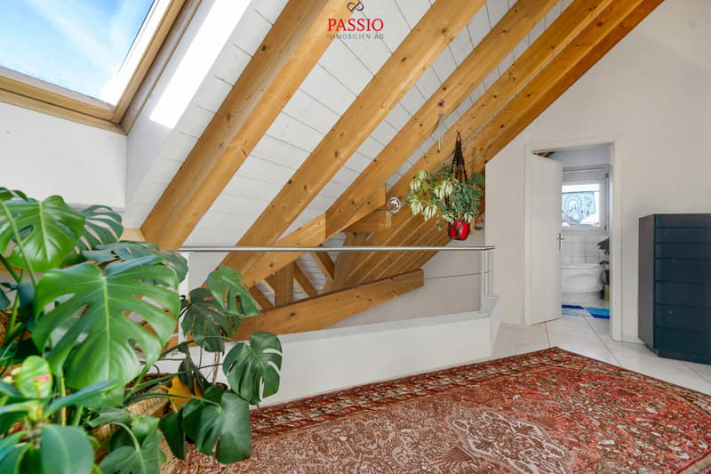 Large 5.5-room duplex apartment with elevator in prime location (13)