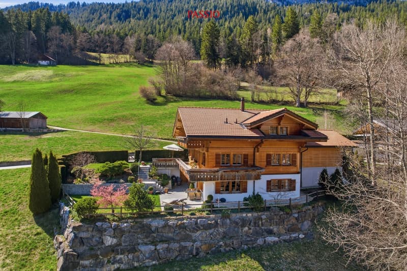 Exclusive 8.5-room chalet with potential for an annex and a dream garden (3)