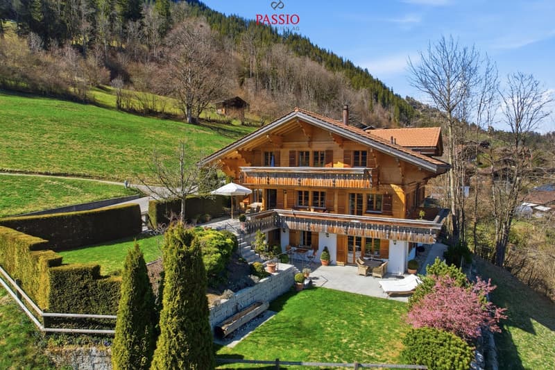 Exclusive 8.5-room chalet with potential for an annex and a dream garden (1)
