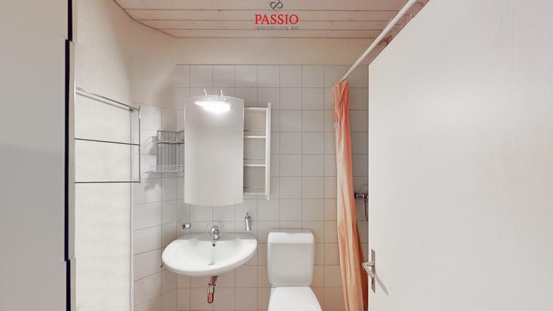 Spacious 4.5-room apartment with fireplace in a quiet location (12)