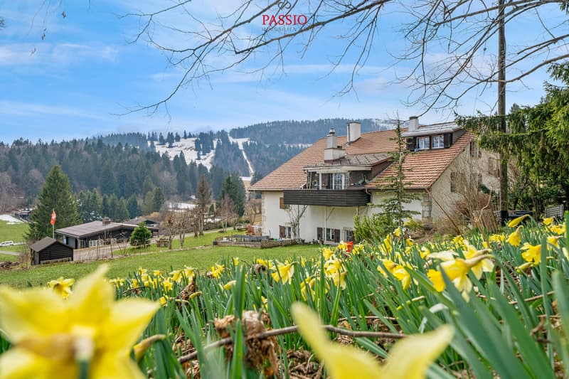 Charming 4.5-room apartment with fireplace and Alpine view (2)