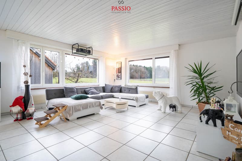 12-room 2-family house with pool & unobstructable location near Bern (7)