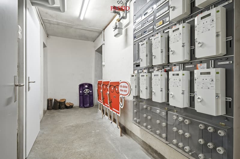 Charme du vieux bâtiment rencontre le confort de vie moderne à Berne (11)