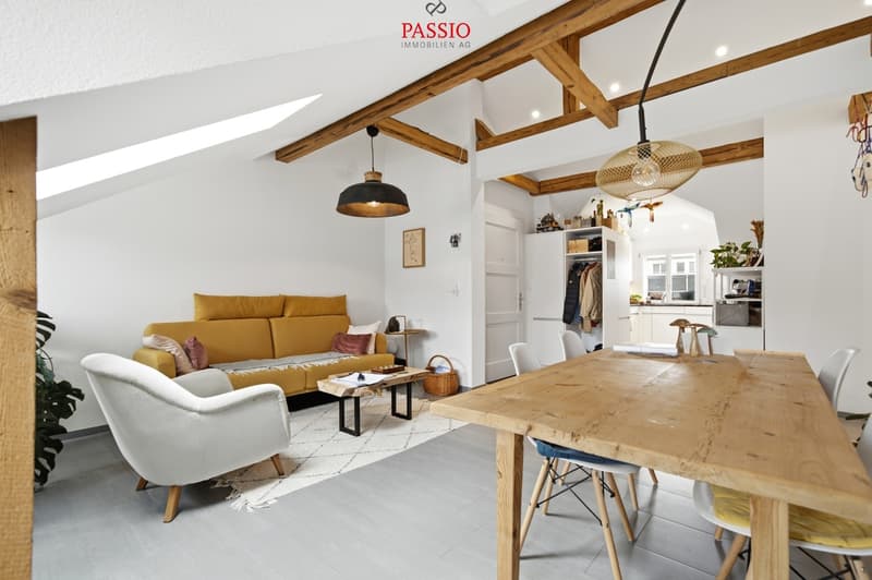 Charme du vieux bâtiment rencontre le confort de vie moderne à Berne (3)