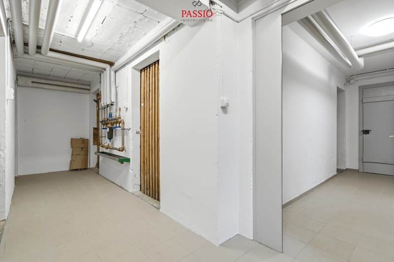 Charme du vieux bâtiment rencontre le confort de vie moderne à Berne (10)