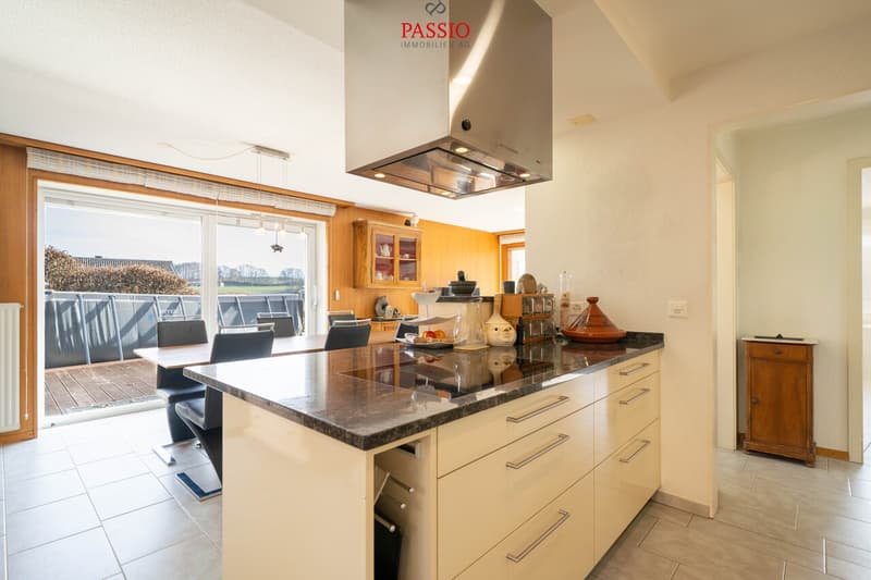 Maison 2 familles 7 pièces avec studio, espace commercial & vue sur les Alpes (7)