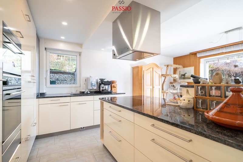 Maison 2 familles 7 pièces avec studio, espace commercial & vue sur les Alpes (5)
