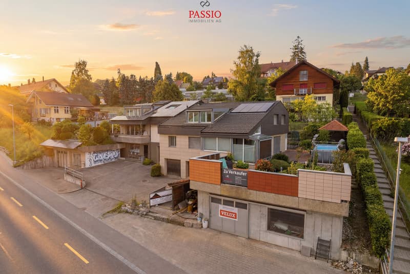 Maison 2 familles 7 pièces avec studio, espace commercial & vue sur les Alpes (1)