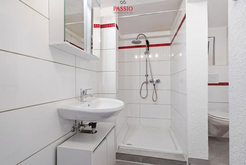 Appartement meublé de 2,5 pièces avec parking dans un emplacement central et calme (7)