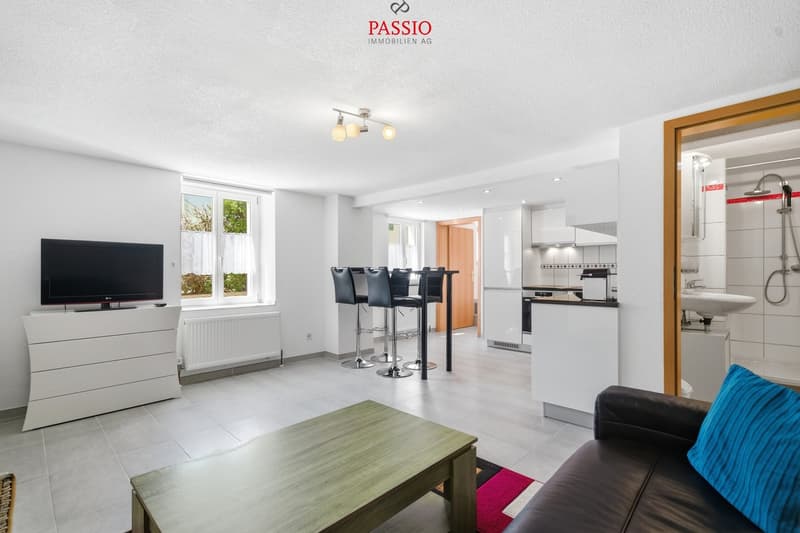 Appartement meublé de 2,5 pièces avec parking dans un emplacement central et calme (2)