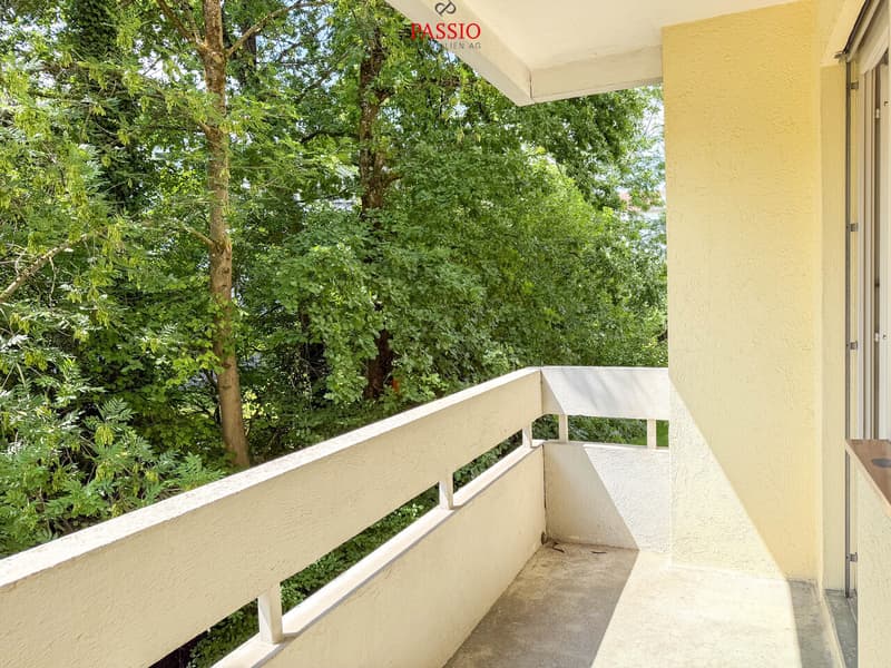 Exciting capital investment or for self-occupation in top location! (1)