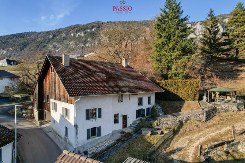 Grosses 8-Zimmer-Bauernhaus mit Gartenidylle und viel Potenzial (1)