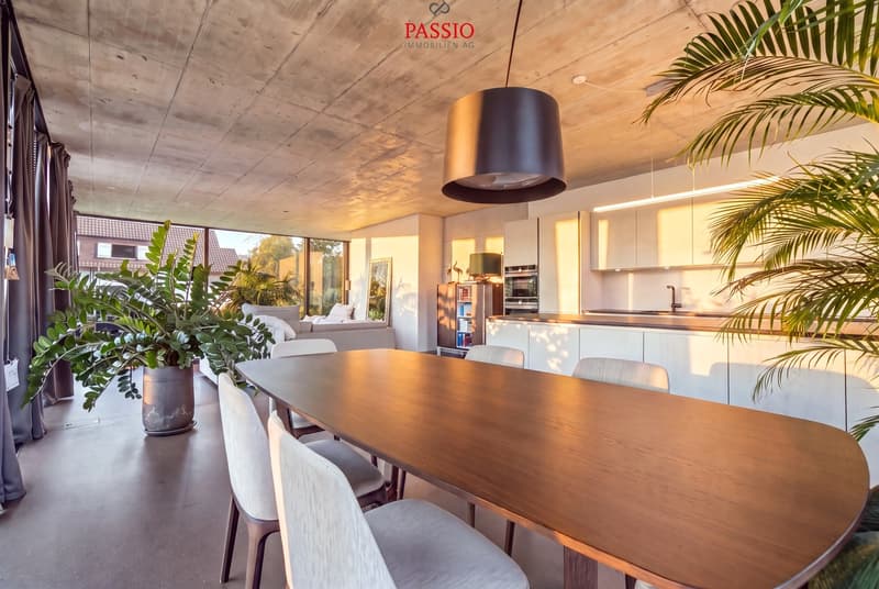 Grosszügig wohnen auf 160 m² - modern, sonnig und zentral (1)