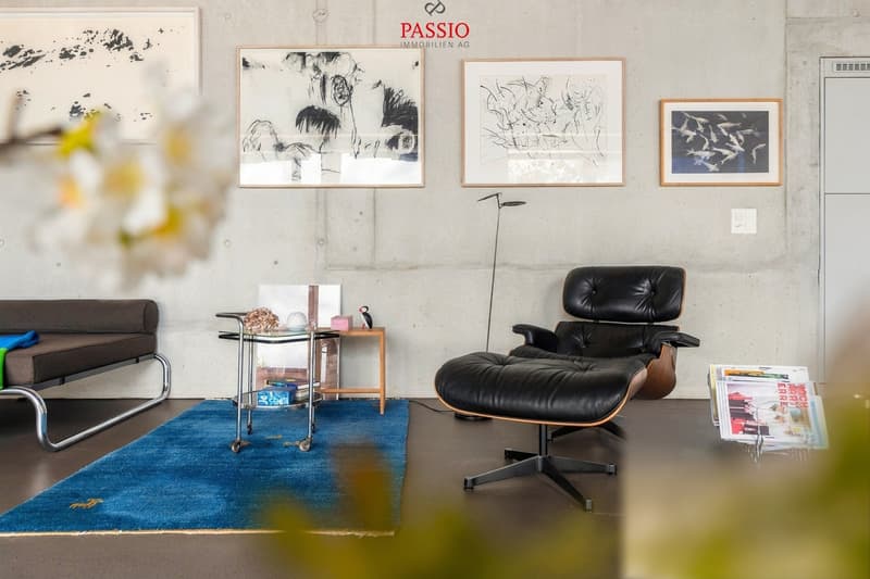 Exklusive Loft-Wohnung mit grosser Terrasse und Weitblick (11)