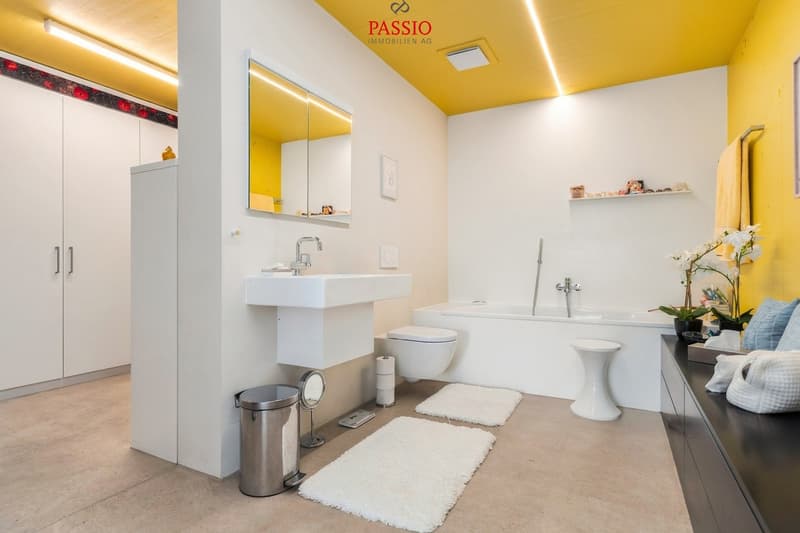 Exklusive Loft-Wohnung mit grosser Terrasse und Weitblick (12)