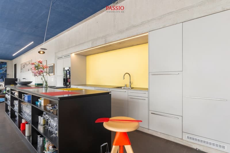 Exklusive Loft-Wohnung mit grosser Terrasse und Weitblick (5)