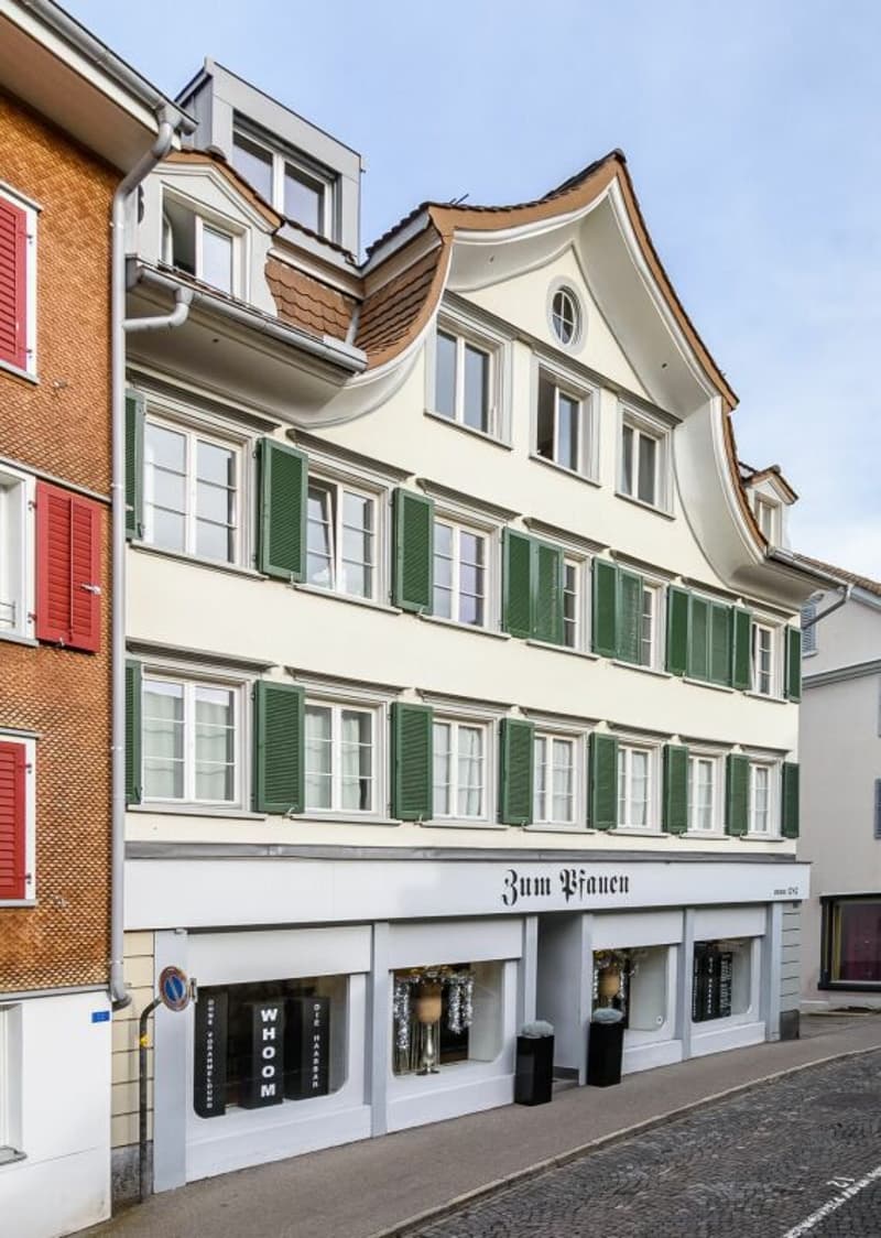 Apartment buildings in the Herisau old town (3)