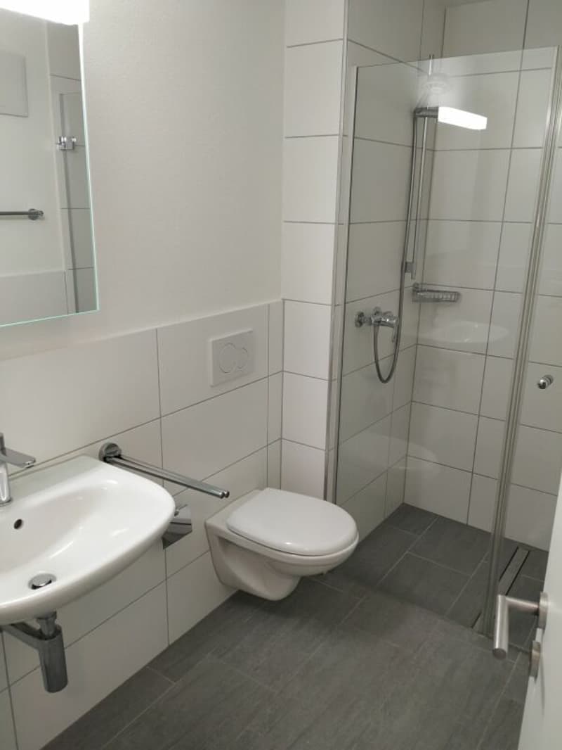 MFH-Portfolio im Zentrum von Glarus (6)