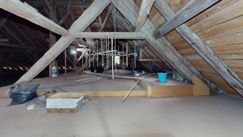 Casa di villaggio con fascino rurale e grande potenziale! (11)