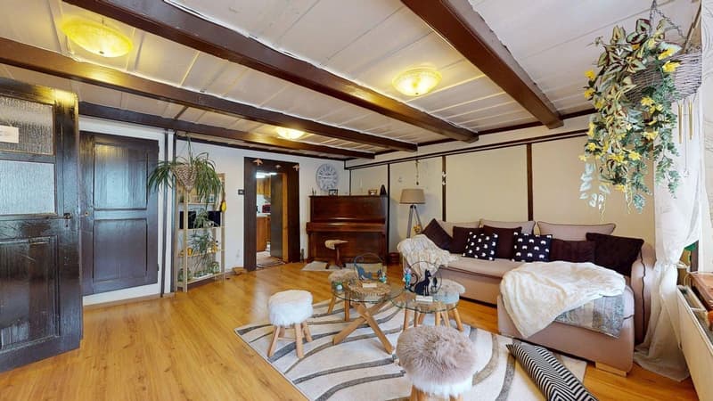 Casa di villaggio con fascino rurale e grande potenziale! (2)