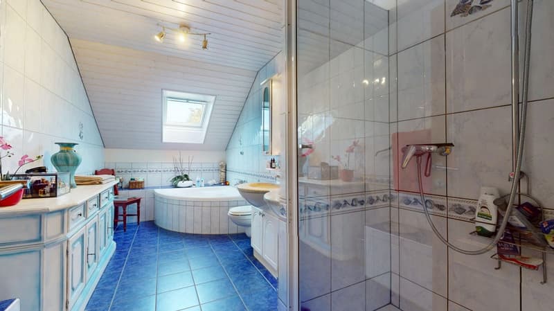 Family villa with pool and pool house in Payerne! (13)