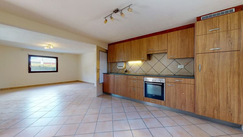 Spacious 3.5-room apartment with terrace (4)