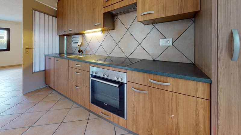 Spacious 3.5-room apartment with terrace (3)