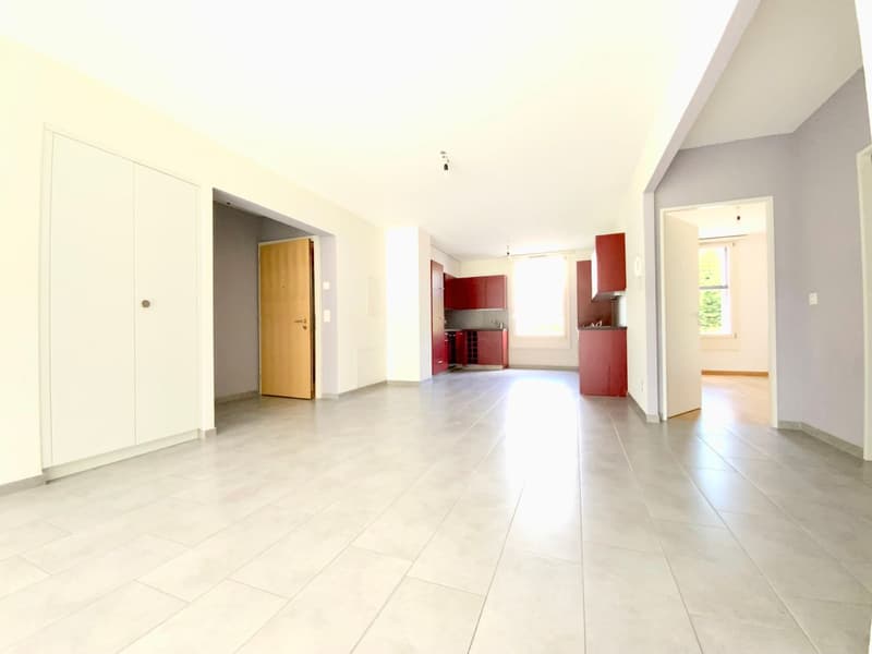 Lumineux 4 ½ de 110m2 avec place de parc! (3)