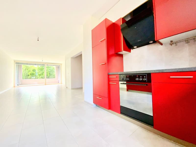 Lumineux 4 ½ de 110m2 avec place de parc! (1)