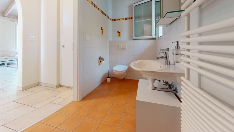 Champagne: Family villa with heated pool, without vis-à-vis (12)