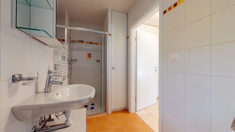 Champagne: Family villa with heated pool, without vis-à-vis (11)