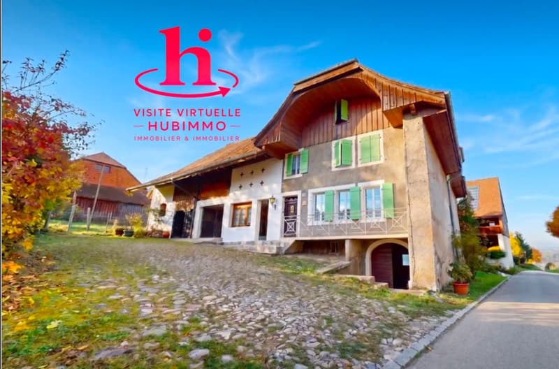 Rural village house (1)