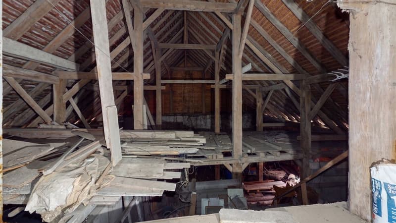 Rural village house (12)