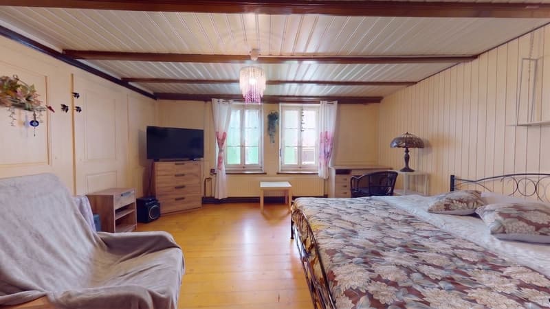 Rural village house (8)