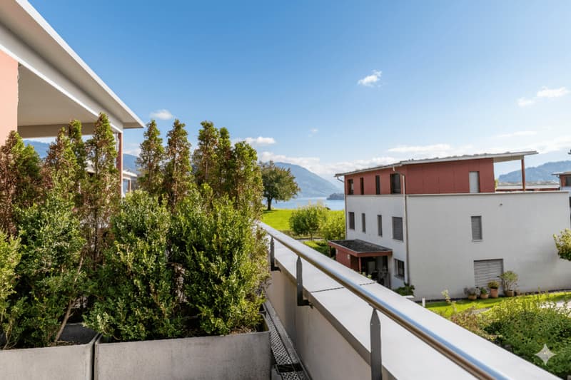 Maison mitoyenne dans le canton de Zug à faibles impôts (3)