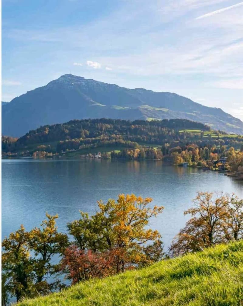 Maison mitoyenne dans le canton de Zug à faibles impôts (13)