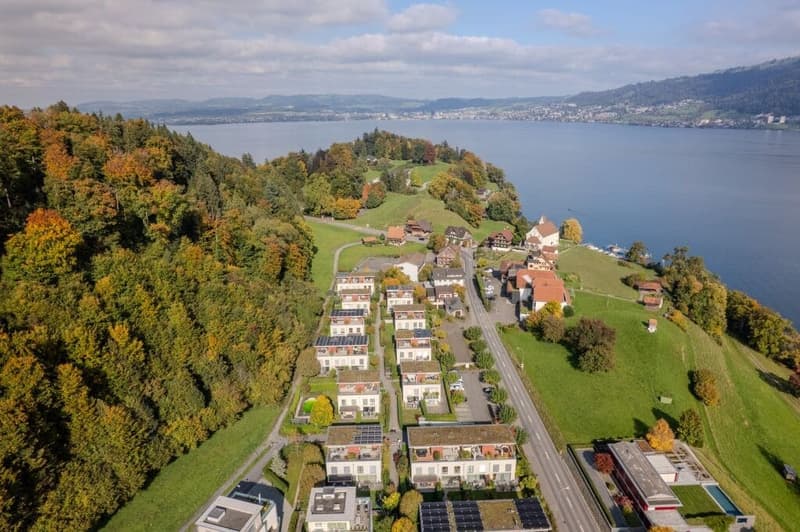 Maison mitoyenne dans le canton de Zug à faibles impôts (9)