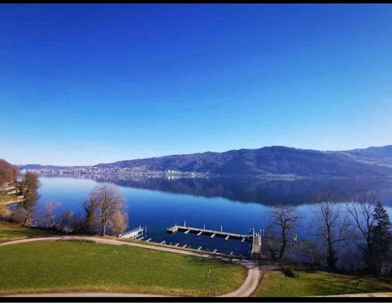 Maison mitoyenne dans le canton de Zug à faibles impôts (12)