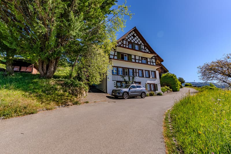 Unique house with great renovation and expansion potential (1)