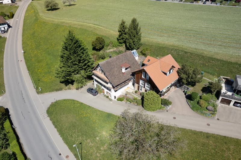Unique house with great renovation and expansion potential (3)