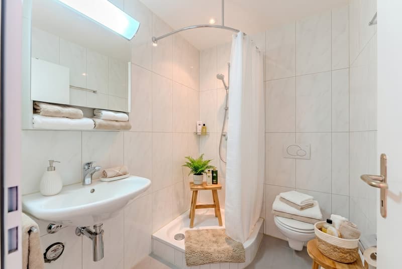 Bright and spacious 4.5-room apartment in the center (9)