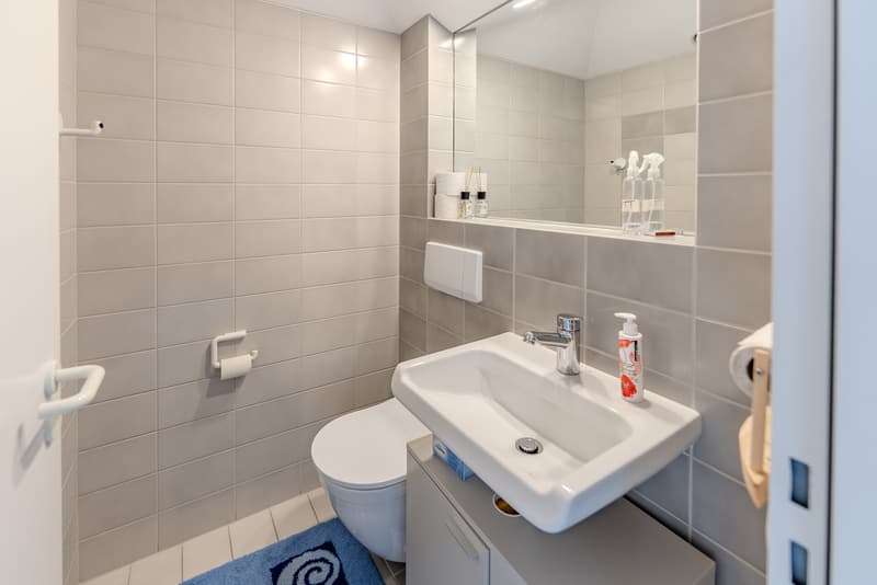 Detached single-family house with large garden in quiet residential area (8)