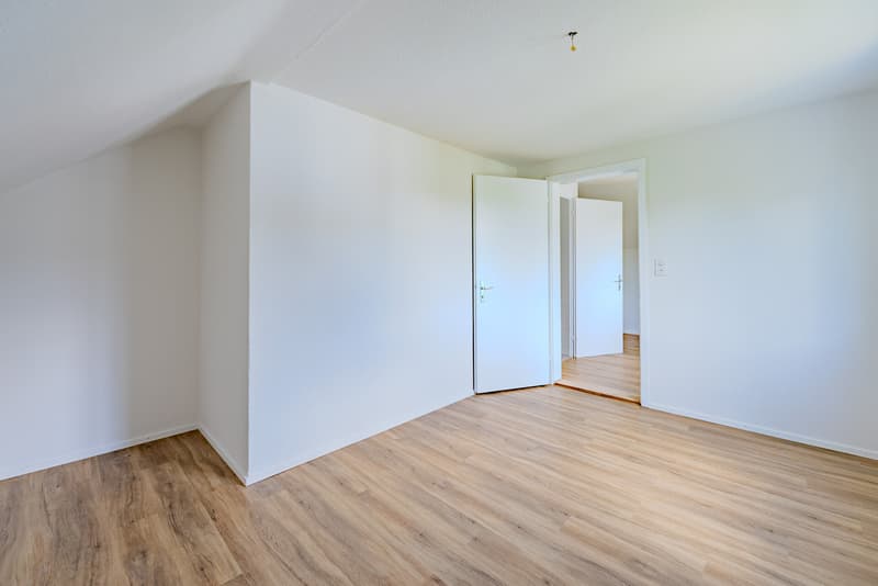 Multi-generation house with great potential (4)